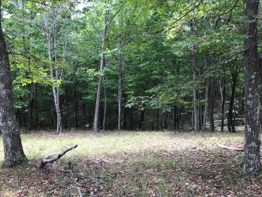 103-B Bluffview Drive #103-B, Dunlap, TN 37327 - Image #2