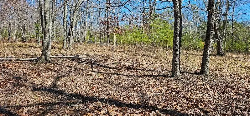 103-B Bluffview Drive #103-B, Dunlap, TN 37327 - Image #3