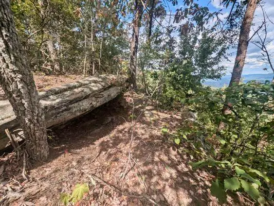 01 Windridge Road, Dunlap, TN 37327 - Image #2