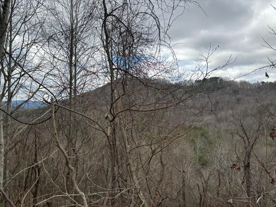 299 Sassafras Ridge Road, Turtletown, TN 37391 - Image #2
