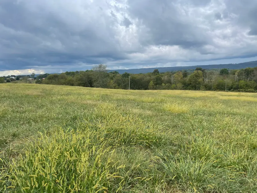 012 Upper East Valley, Pikeville, TN 37367 - #2