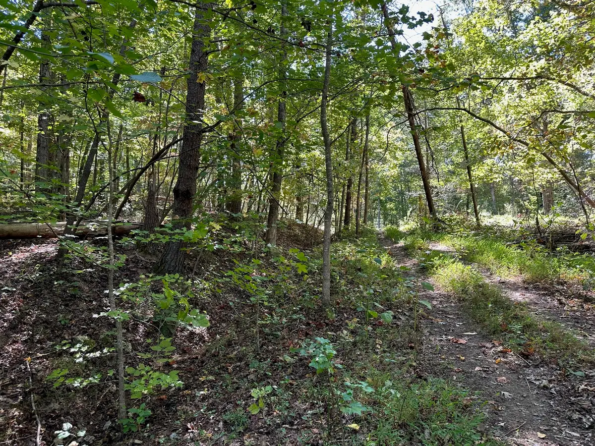 Lot 354 Diana Drive, Spring City, TN 37381 - Image #1