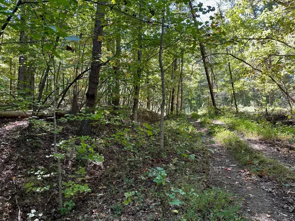 Lot 412 Smith Road, Spring City, TN 37381
