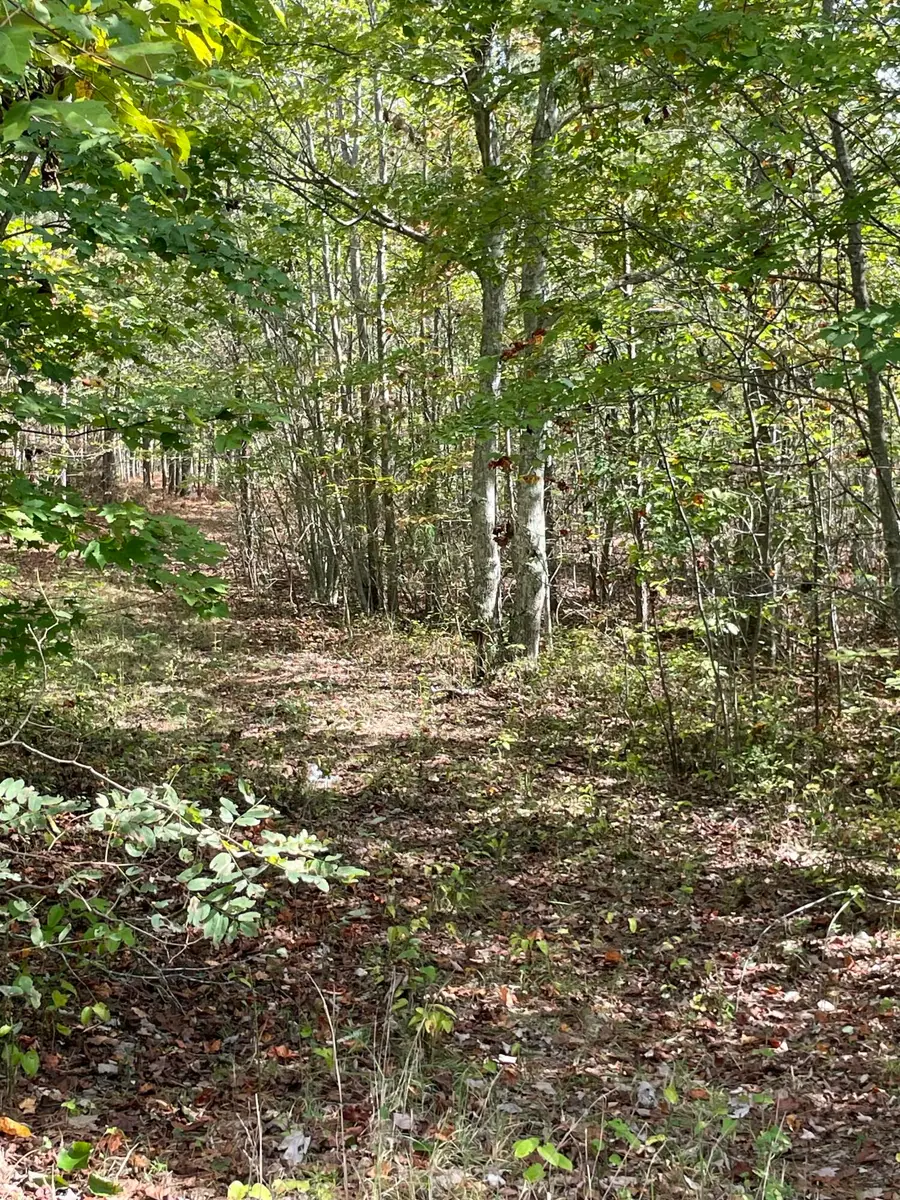 3685 Crockett Point #Jf141, Jasper, TN 37347 - Image #3