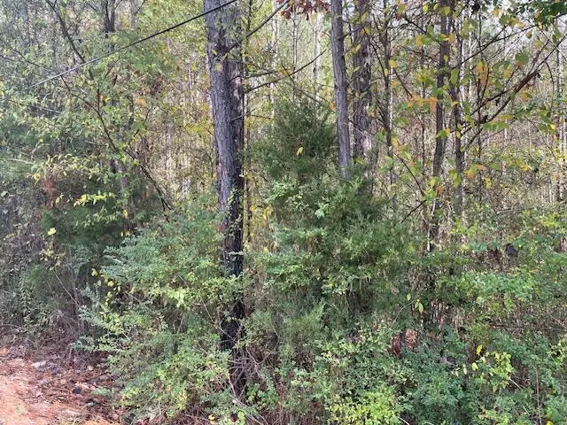 0 Probasco Street, Lafayette, GA 30728 - Image #2