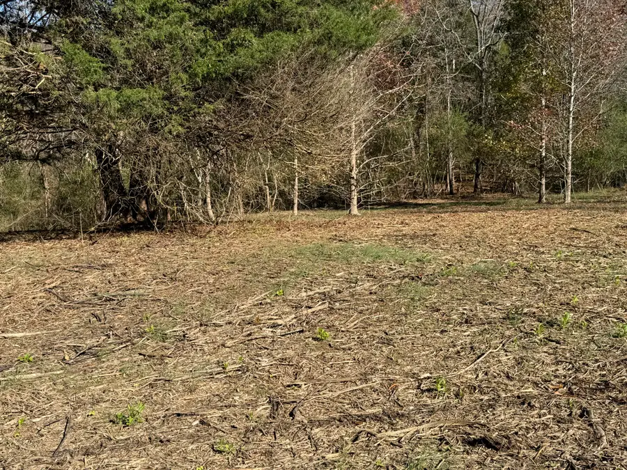 0 Sugar Tree Trail, Birchwood, TN 37308 - #2
