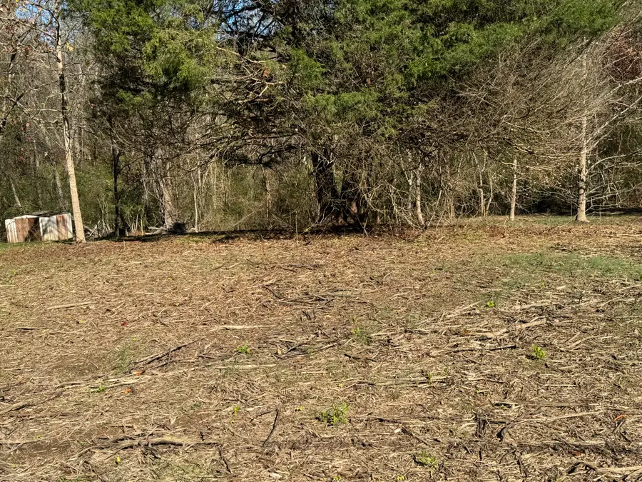 0 Sugar Tree Trail, Birchwood, TN 37308 - #3