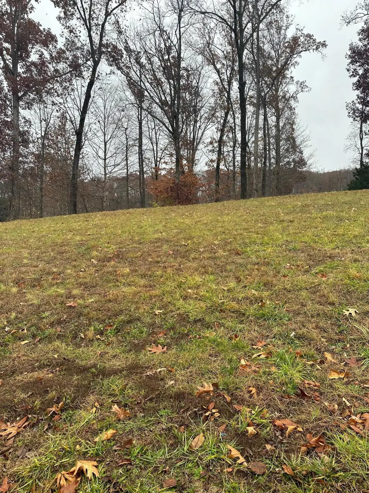 Lot 12 Ridge Park Drive Ne, Cleveland, TN 37311 - Image #1