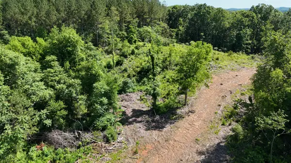 Lot 2 Lamontville Road, Decatur, TN 37322