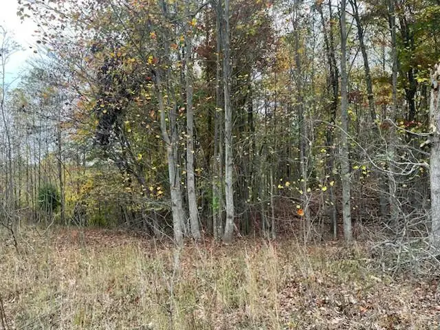 580 Preservation Drive, South Pittsburg, TN 37380 - Image #3