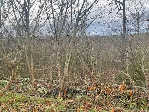 3 Fisher Road, Rossville, GA 30741