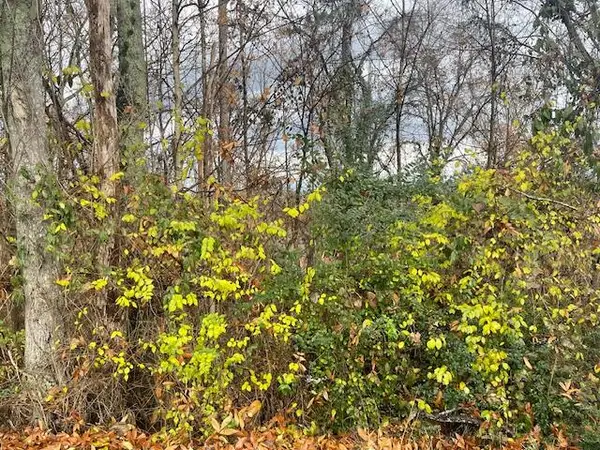 0 S Mission Ridge Drive, Rossville, GA 30741