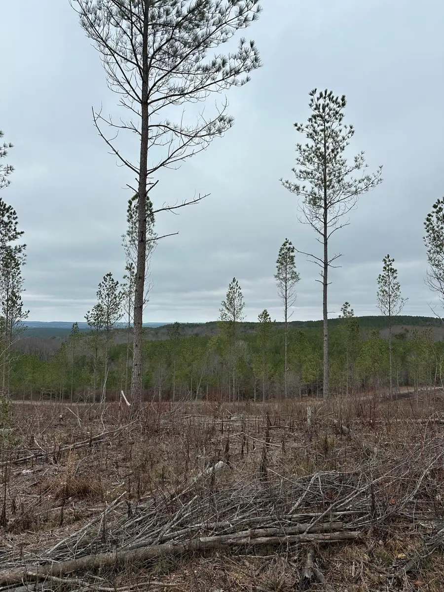 Tract 26 Thomas Springs Road #26, Crossville, TN 38572 - #2