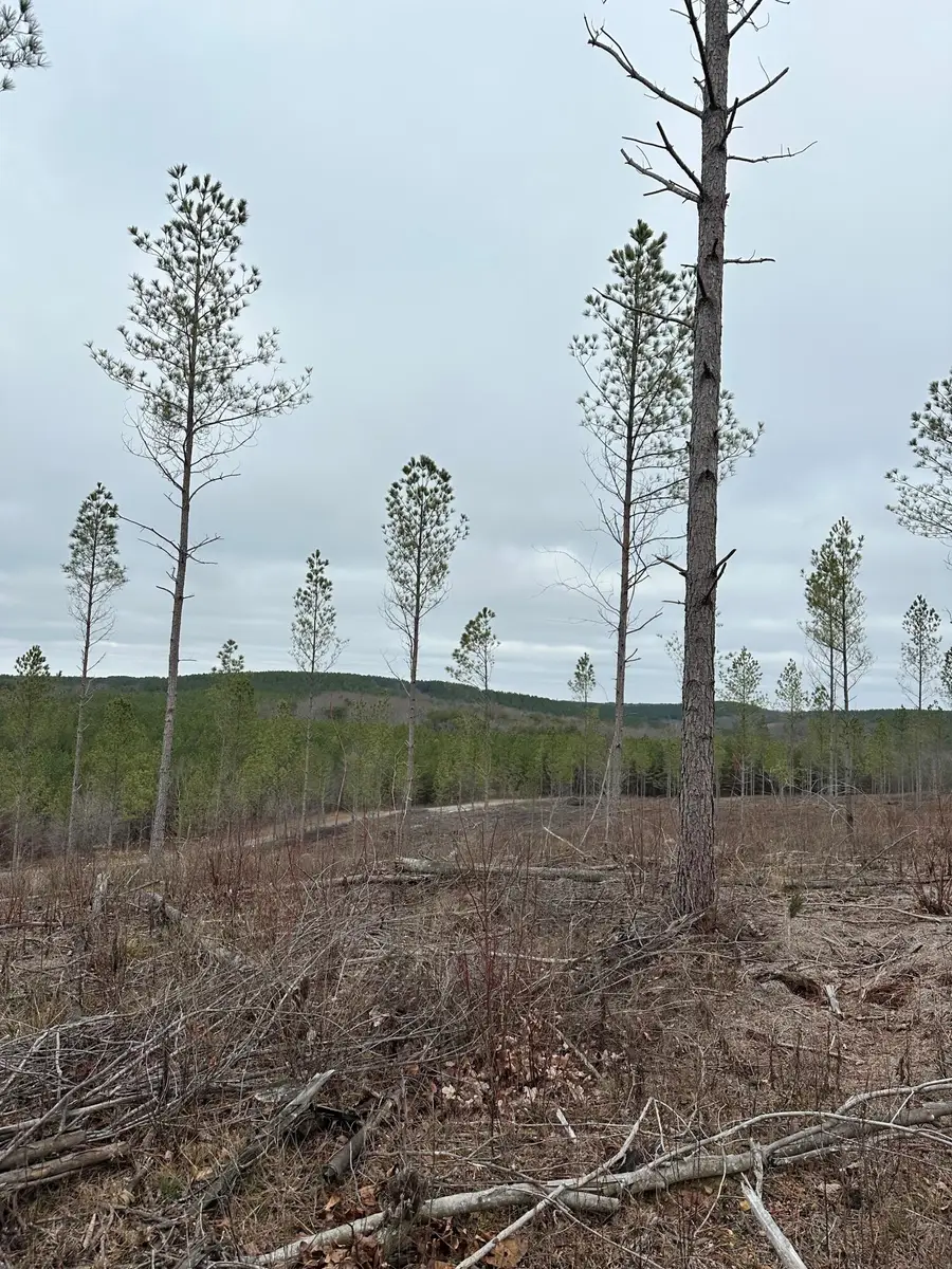 Tract 26 Thomas Springs Road #26, Crossville, TN 38572 - #3