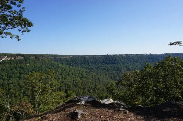 0 Crockett Point #Jf147, Jasper, TN 37347