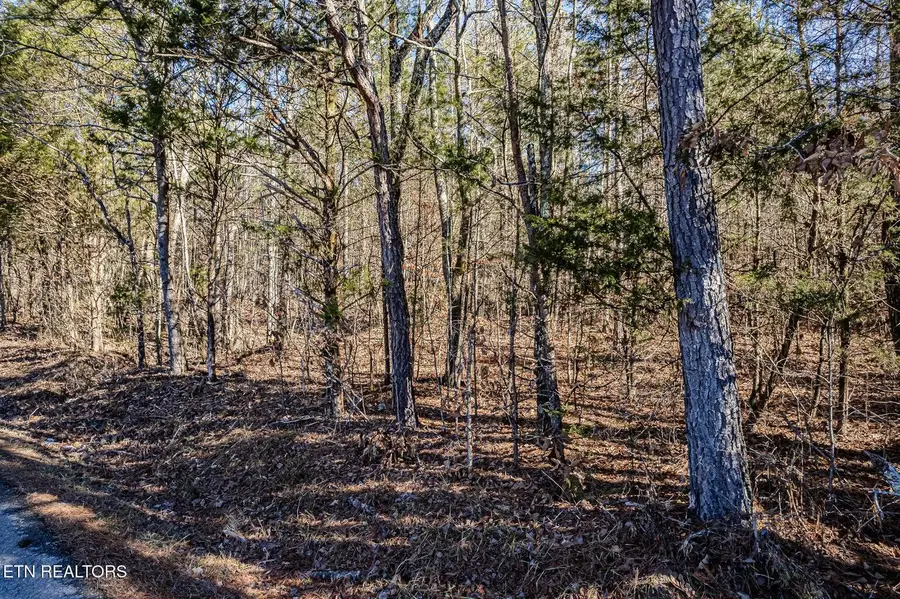5 Acres S Nopone Valley Road, Decatur, TN 37322 - Image #3