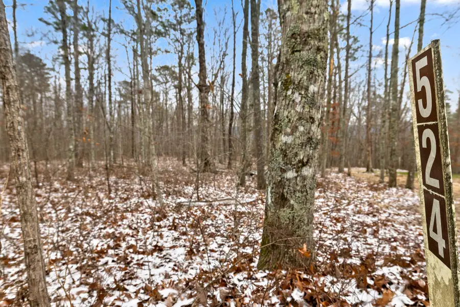 0 Twilight Trail #524, Dunlap, TN 37327 - Image #2