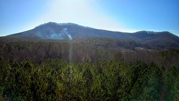 0 Black Bear Ridge Road, Ellijay, GA 30536