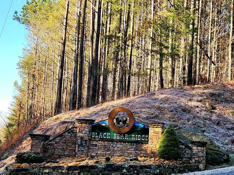 0 Black Bear Ridge Road, Ellijay, GA 30536 - Image #2