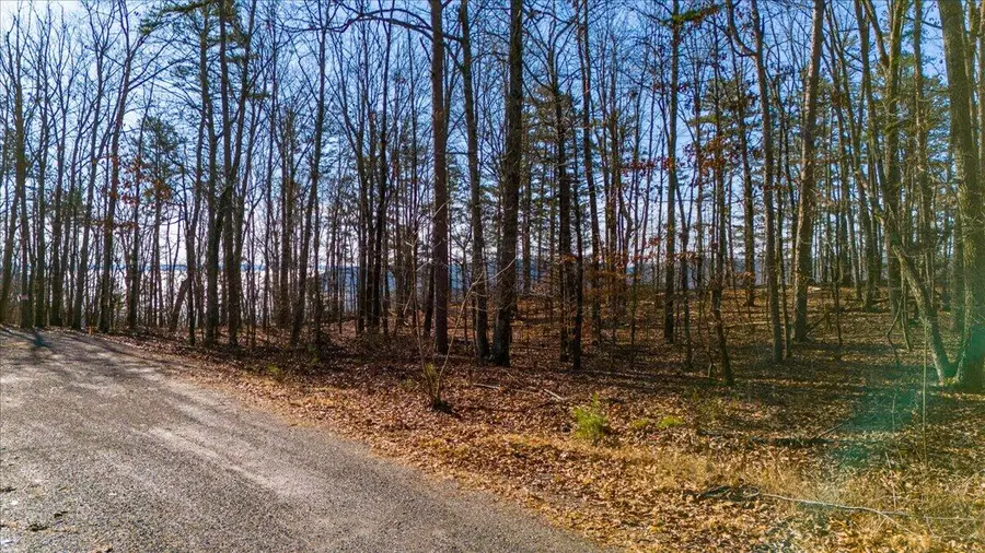 0 Old Harris Turnpike Road #Lot 17, South Pittsburg, TN 37380 - Image #3