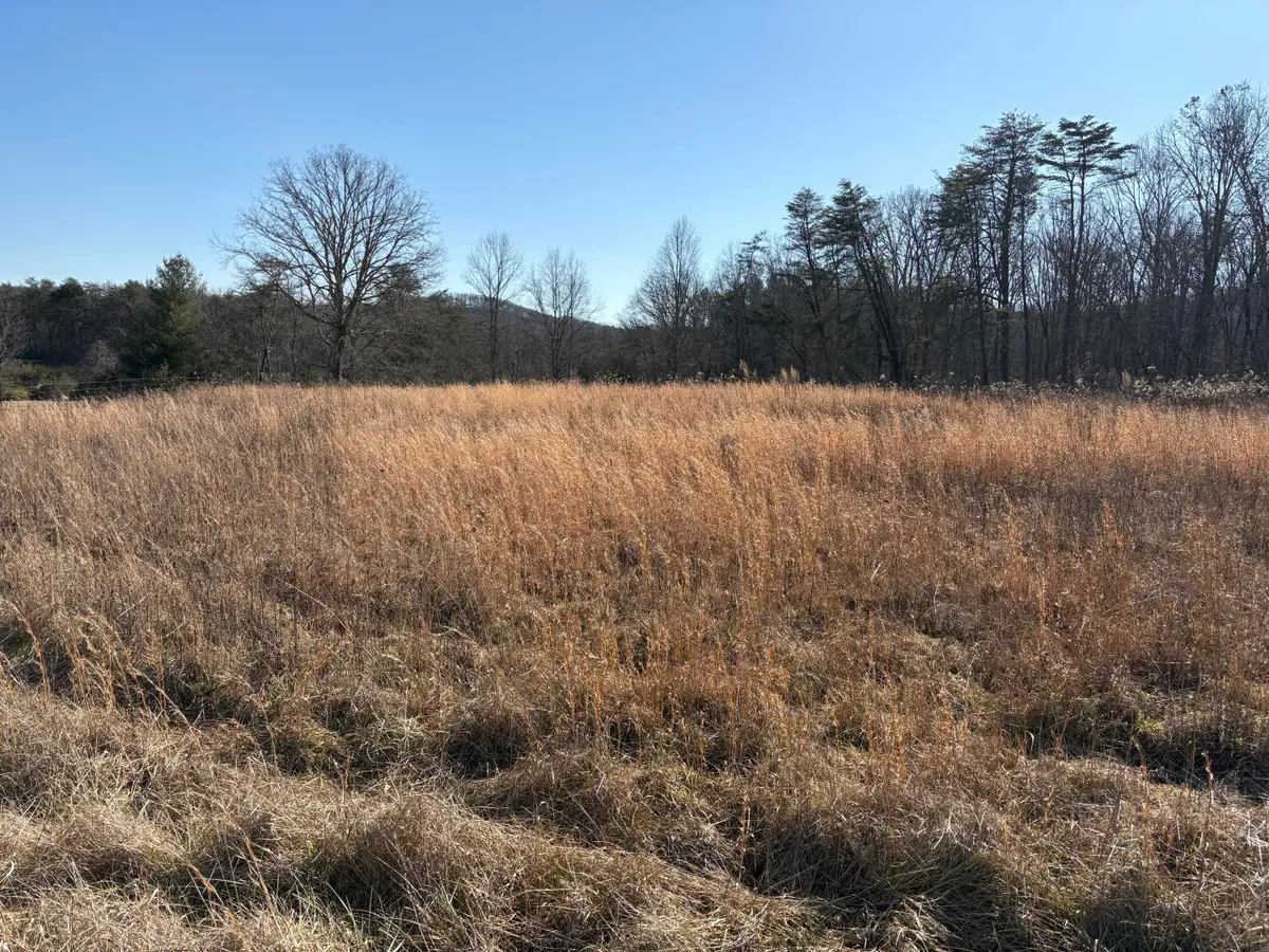 7782 Brockdell Road, Pikeville, TN 37367 - Image #1