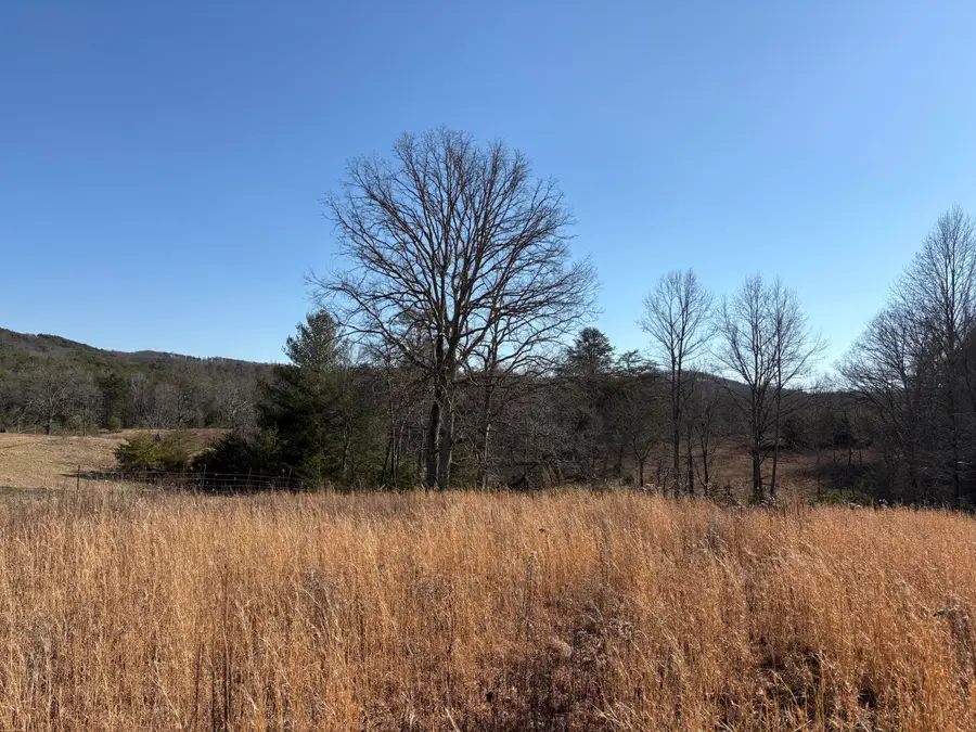 7782 Brockdell Road, Pikeville, TN 37367 - Image #2