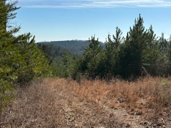 0 Vaughn Mill Road, Evensville, TN 37332