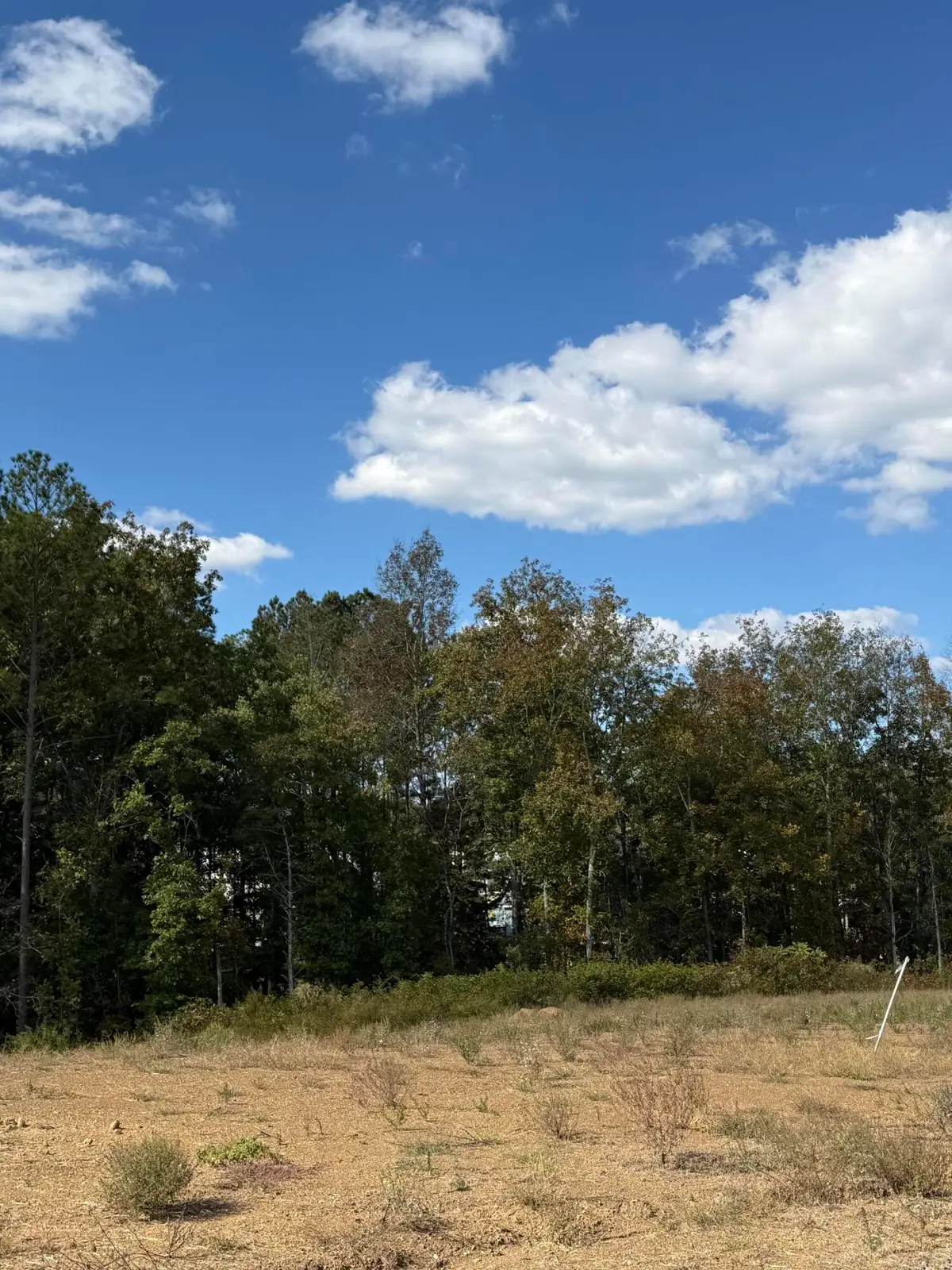 Lot 7 Creekwood, Cleveland, TN 37312 - Image #1
