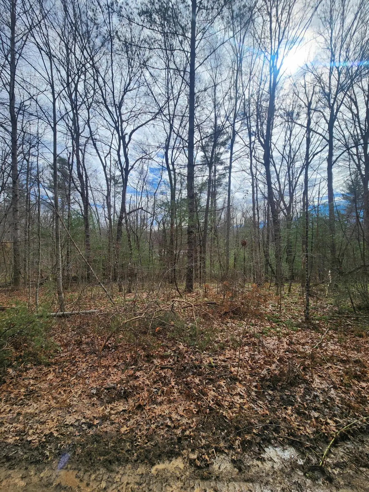 0 Brown Creek Drive #197, Crossville, TN 38571 - Image #1