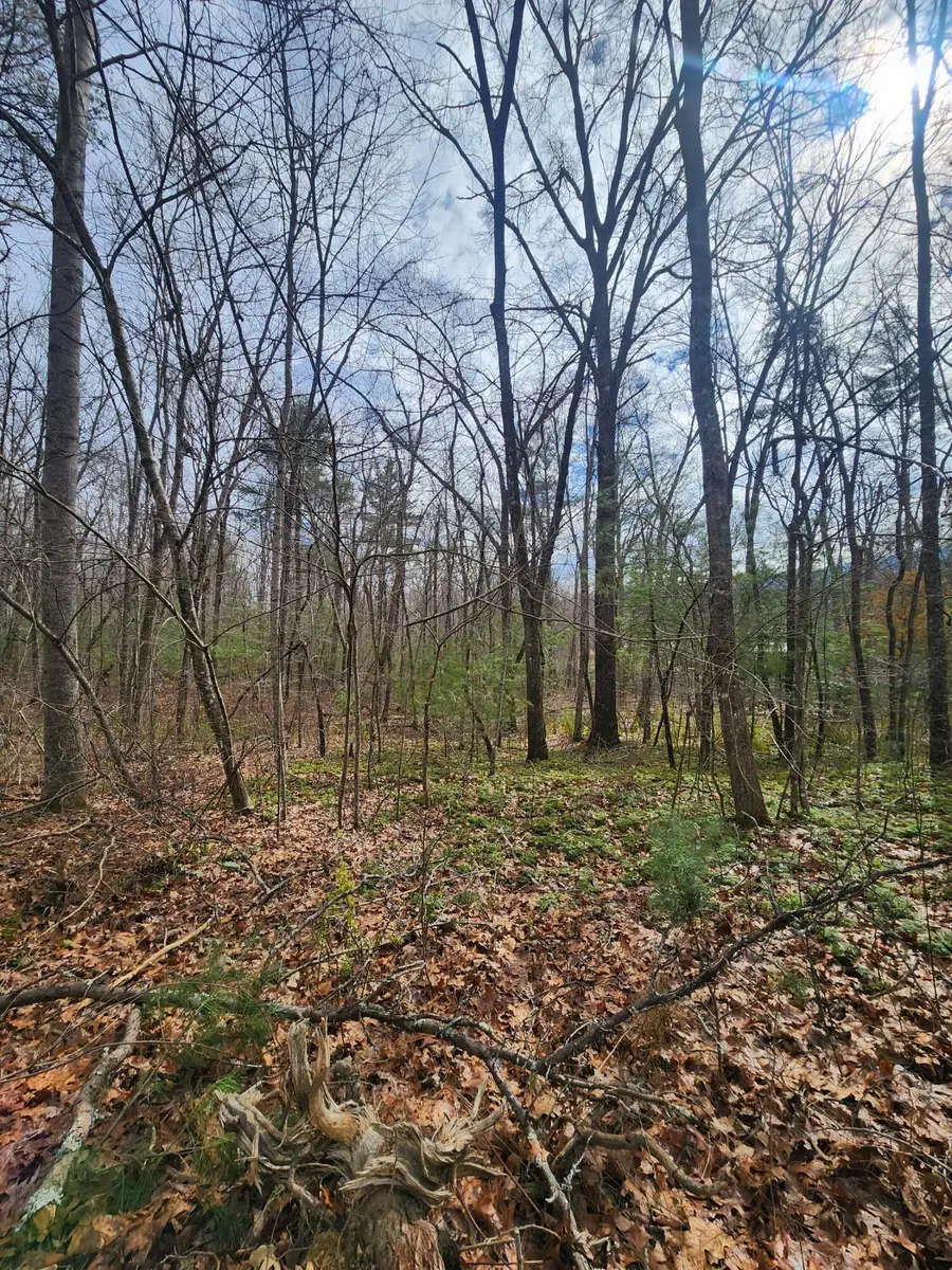 0 Brown Creek Drive #197, Crossville, TN 38571 - Image #2