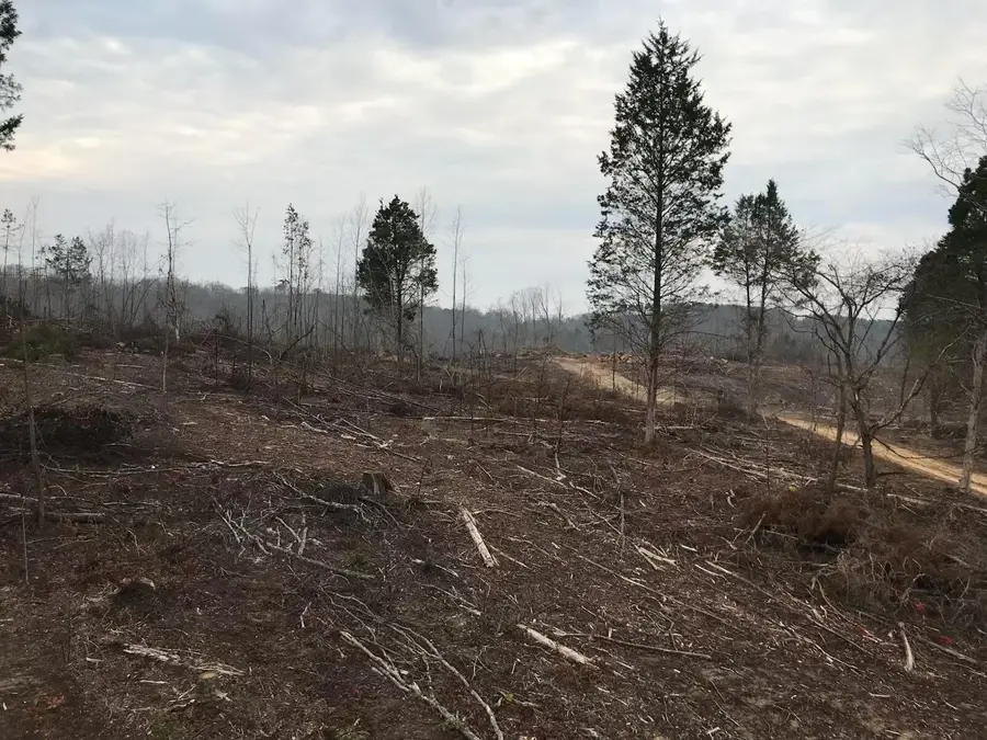 233 County Road 83, Athens, TN 37303 - Image #3