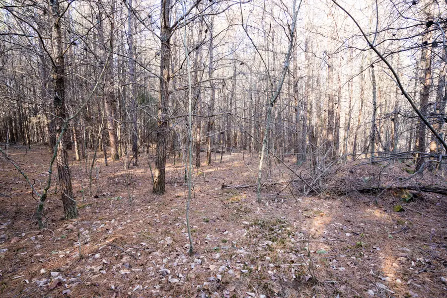3 Acres Denvil Drive, Trenton, GA 30752 - Image #2