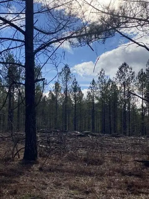 Lot 3 Thomas Springs Road #Lot 3, Crossville, TN 38572 - Image #1