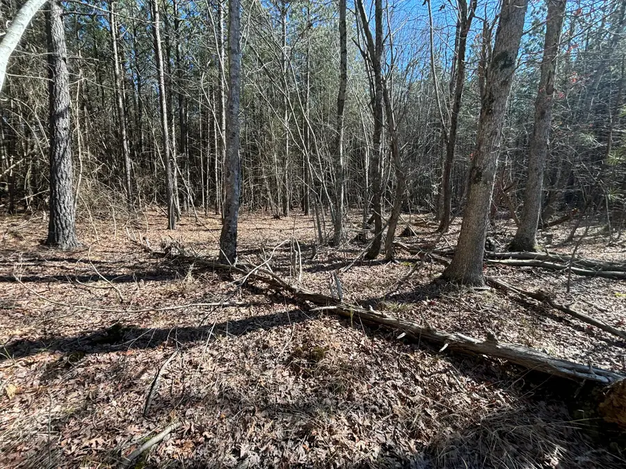 10 Hwy 399, Dunlap, TN 37327 - Image #3