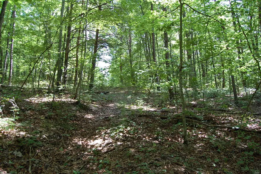 0 Elk Drive, Dunlap, TN 37327 - Image #3