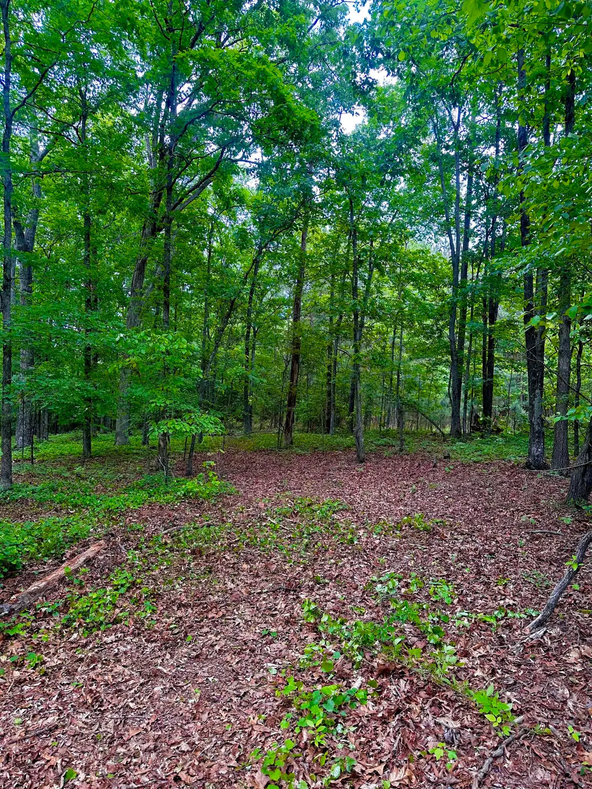 0 Highway 2, Tract 5, Dalton, GA 30721 - Image #1