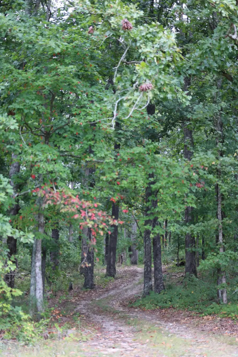 0 Highway 2, Tract 5, Dalton, GA 30721 - Image #3