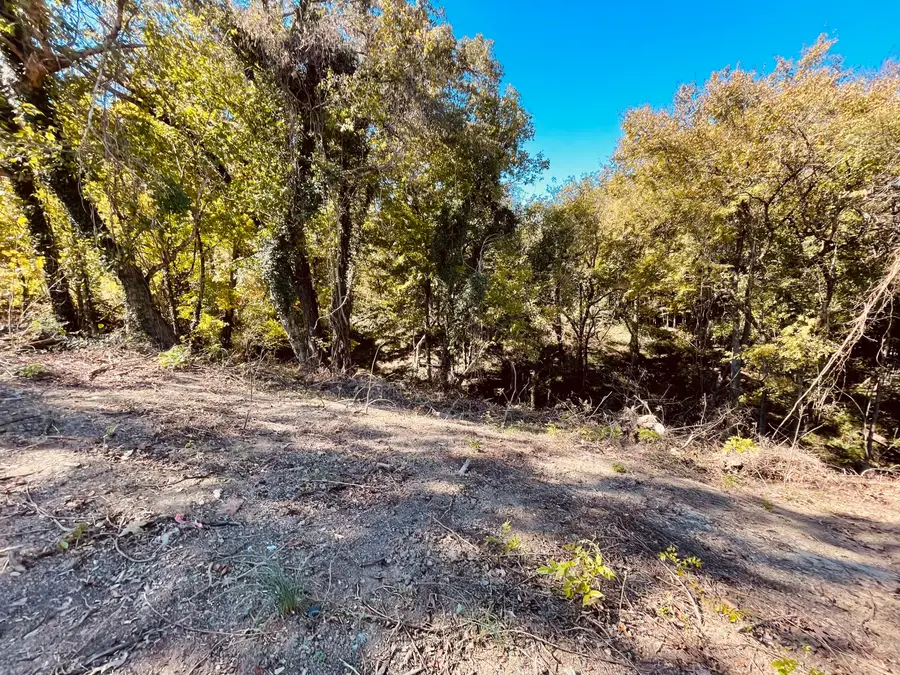 100 Riverview Drive, Loudon, TN 37774 - Image #3