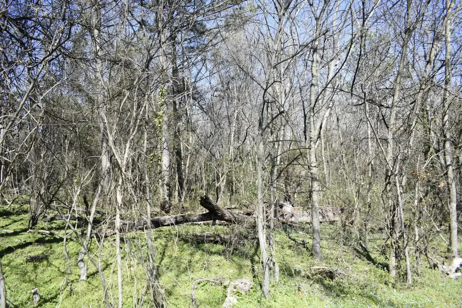 109 7th Street, Rossville, GA 30741 - Image #2