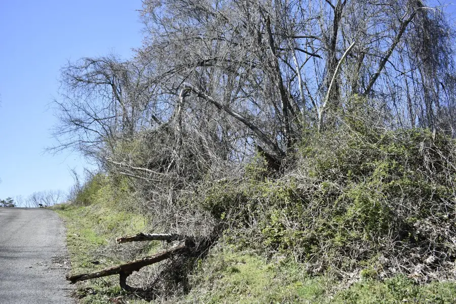 01 7th Street, Rossville, GA 30741 - Image #2