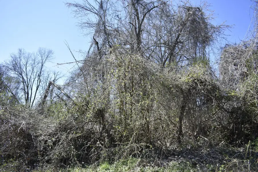 0 Gates Street, Rossville, GA 30741 - Image #3