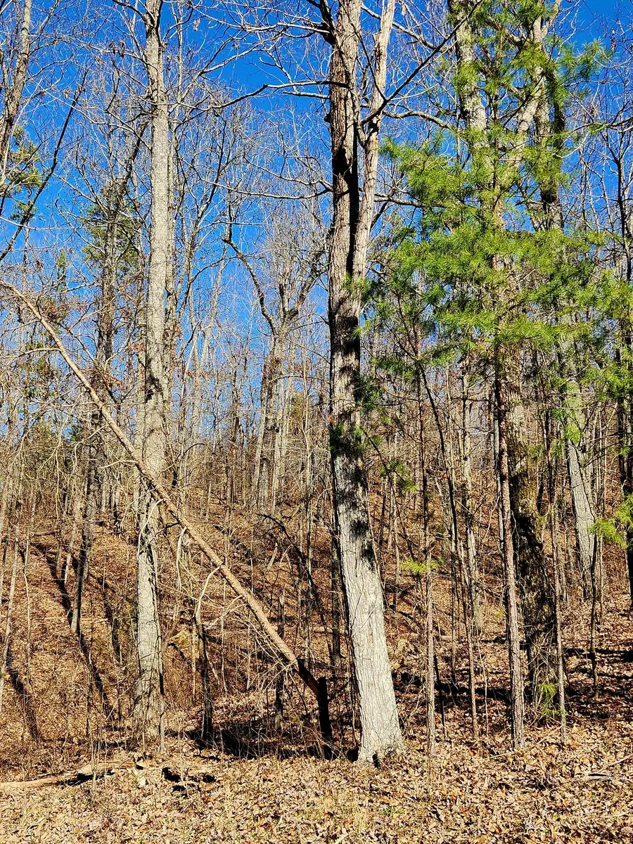 0 Northwoods Lane #15, Trenton, TN 30752 - Image #2