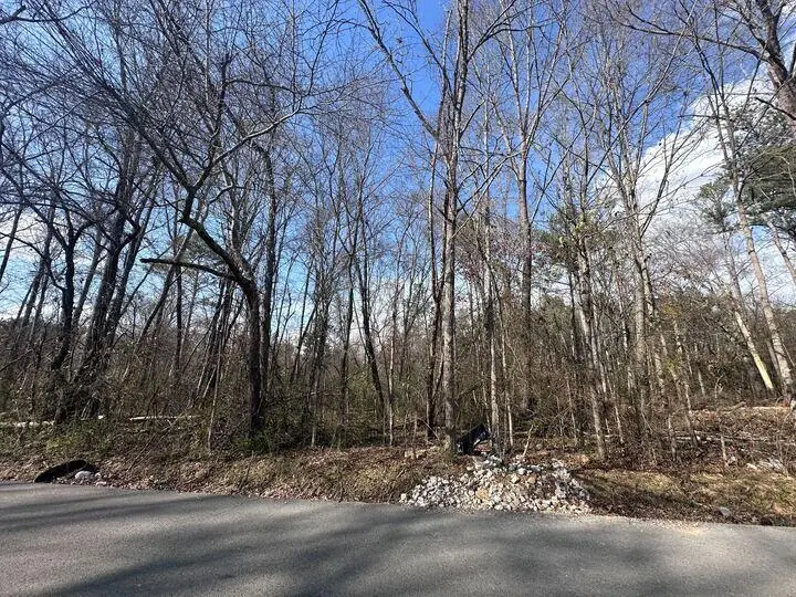 35 Karen Drive, Ringgold, GA 30736 - Image #3