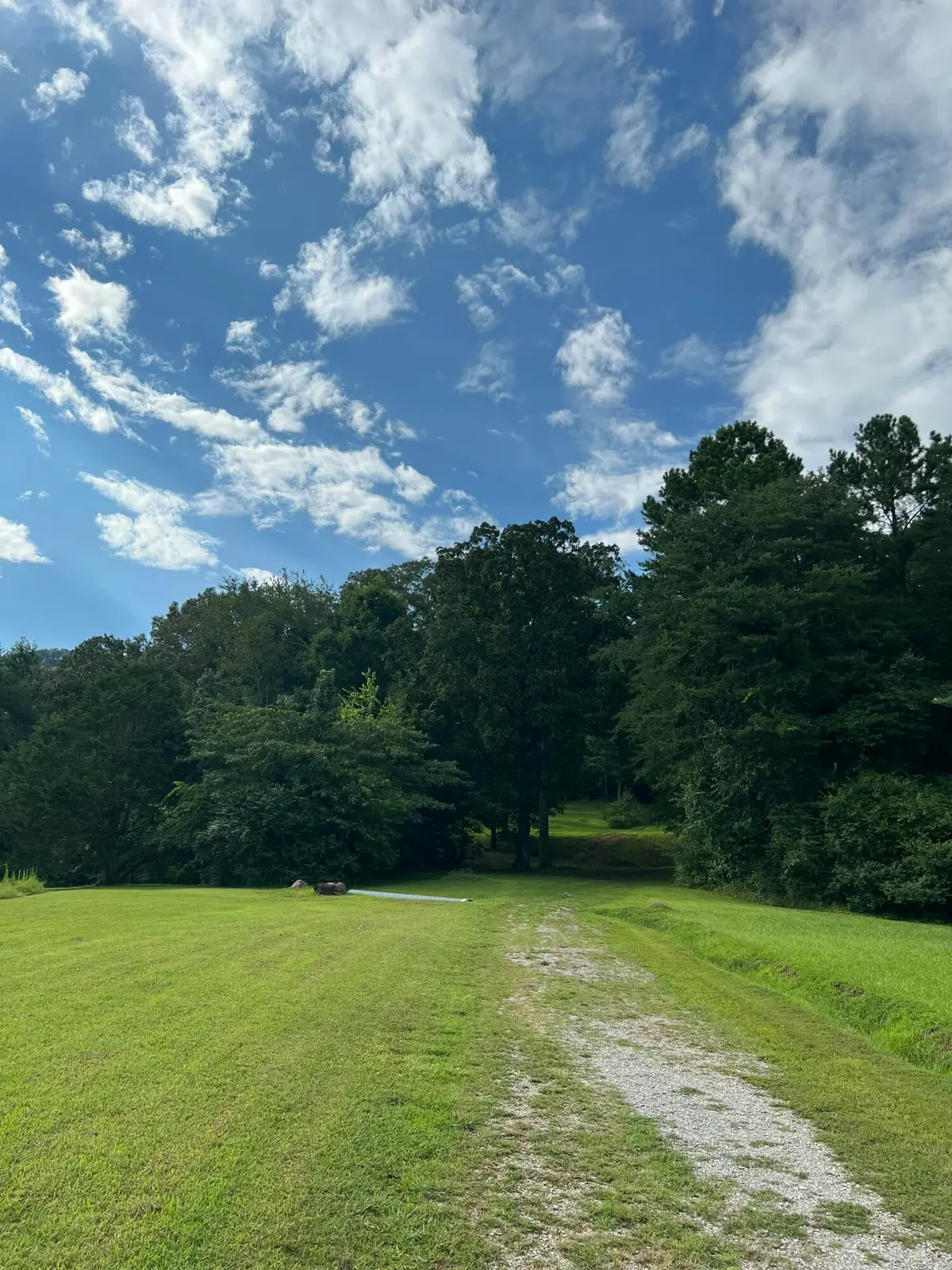 9019 Springfield Road, Soddy Daisy, TN 37379 - #1