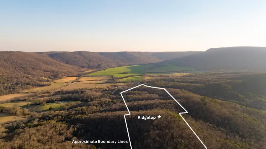 0 Hog Jowl Road, Chickamauga, GA 30707 - Image #2