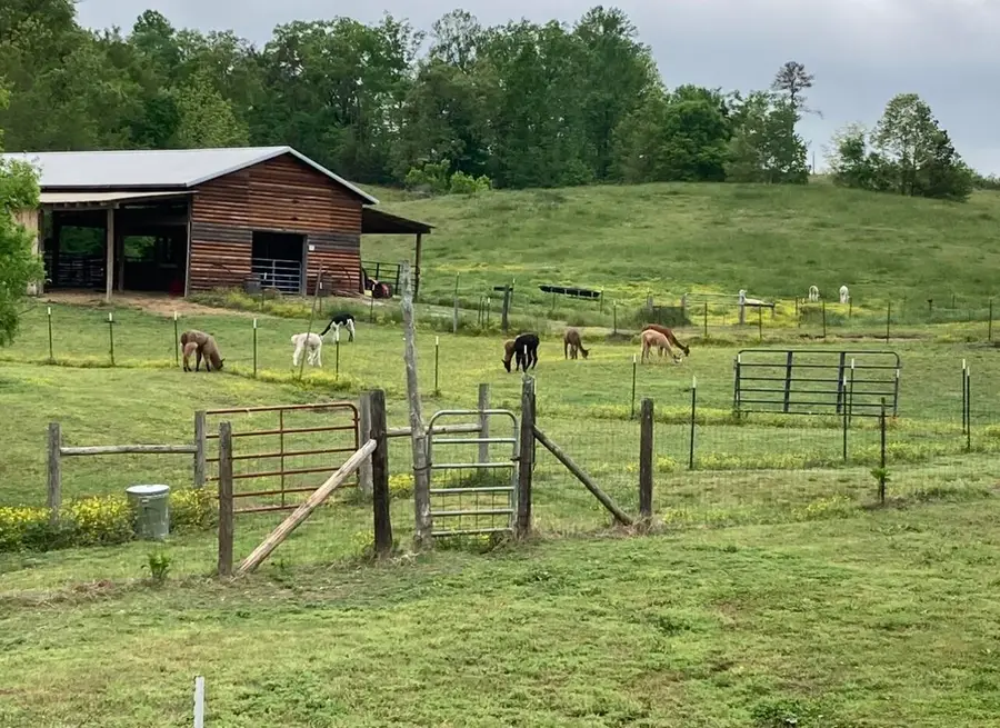 1570 Halls Valley Road, Trion, GA 30753 - Image #2