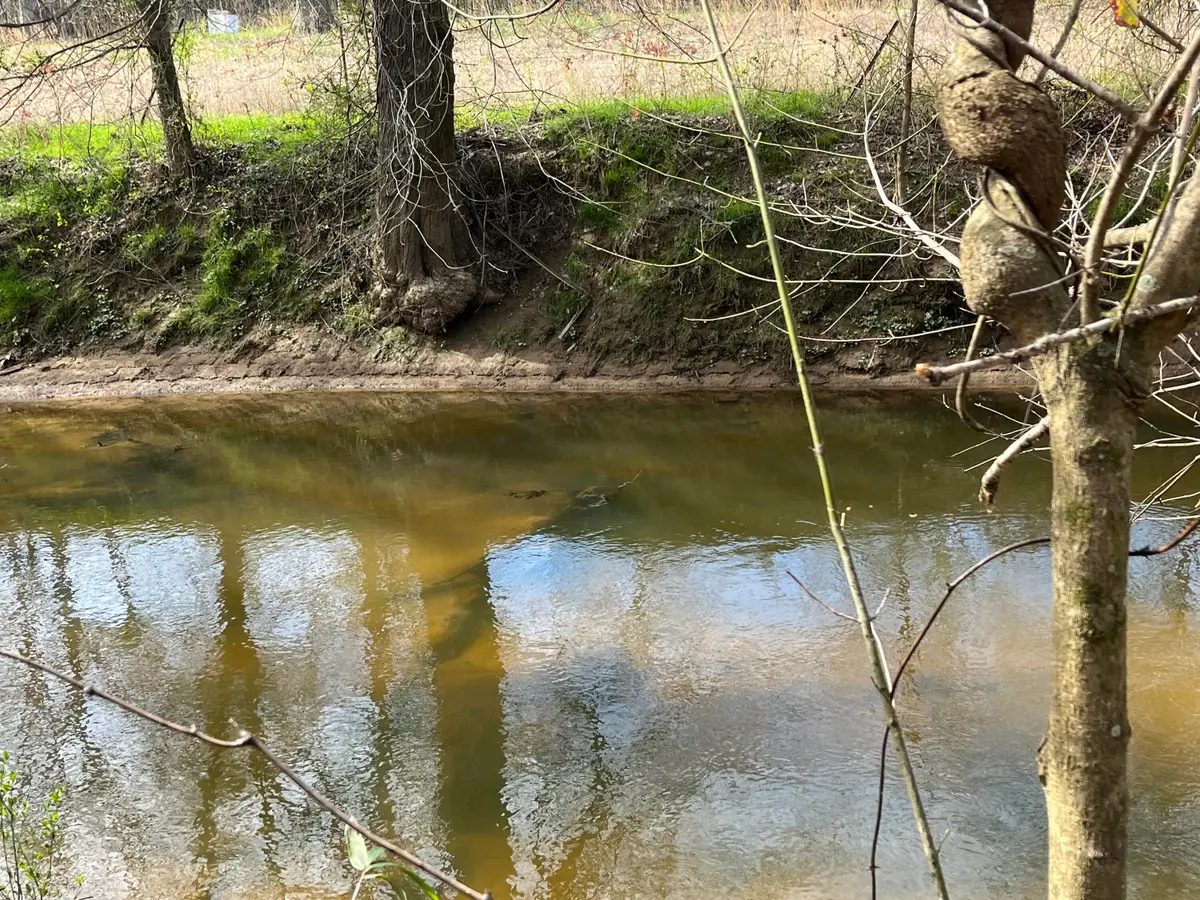 1480 Co Rd 814, Higdon, AL 35979 - Image #1