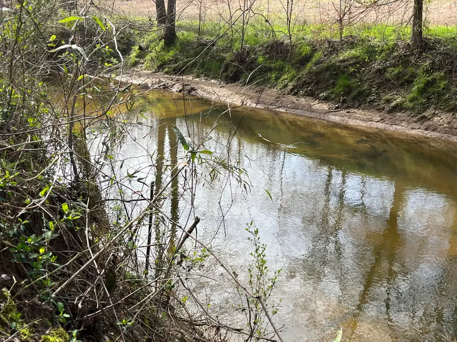 1480 Co Rd 814, Higdon, AL 35979 - Image #2