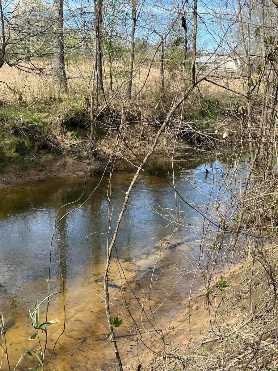 1480 Co Rd 814, Higdon, AL 35979 - Image #3