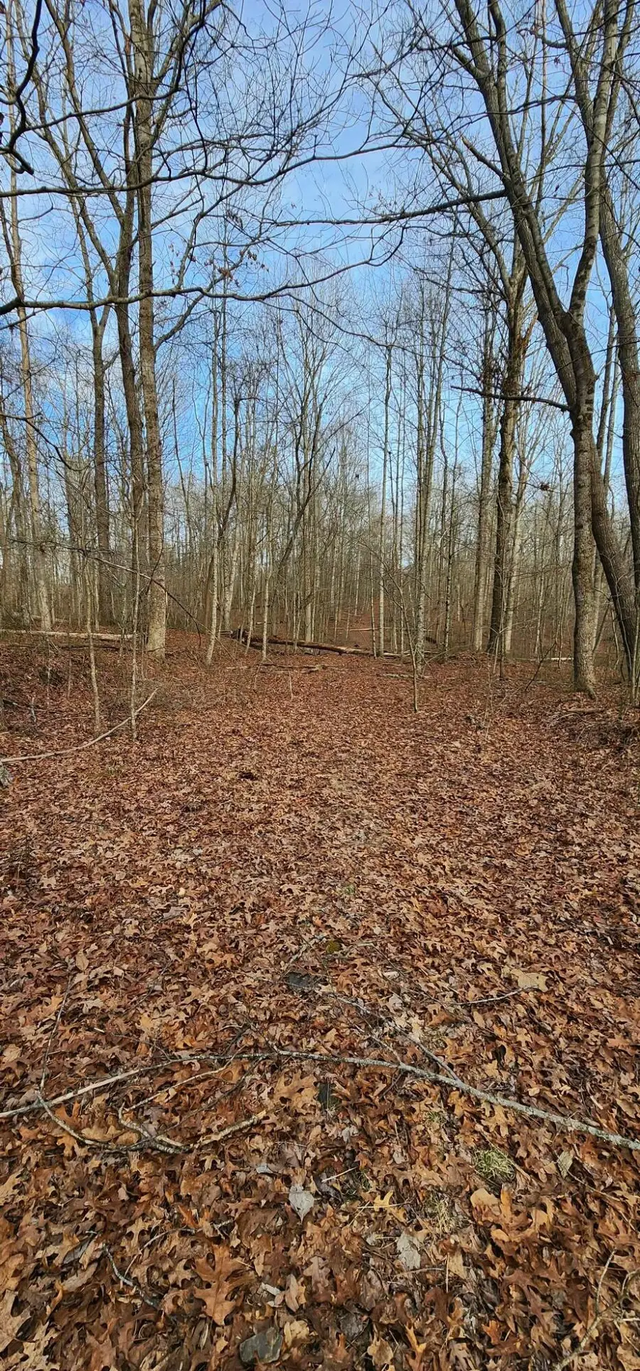 0 Hickory Hollow Sub Road #14, Tracy City, TN 37387 - Image #3